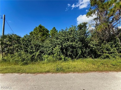 Lehigh Acres Area Lot For Sale in Lehigh Acres Florida