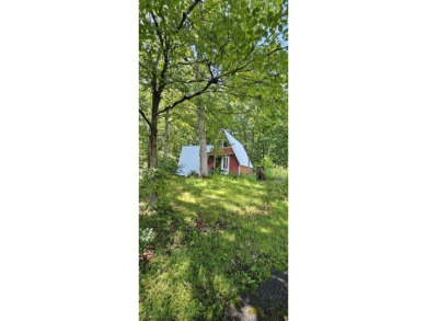 Lake Home For Sale in Dunlap, Tennessee