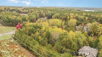 Lake Wylie Lot For Sale in Belmont North Carolina