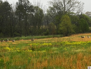 Dreaming of building a house in the country but afraid of cost - photo 38