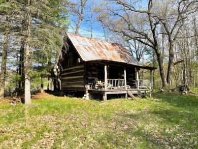 Lake Acreage For Sale in Bellevue, Michigan