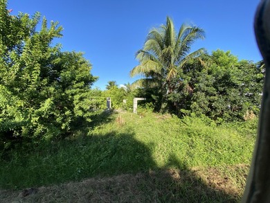 Canal front lot in beautiful Cutthroat Harbor Estates. Excellent - photo 3