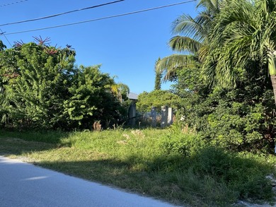Canal front lot in beautiful Cutthroat Harbor Estates. Excellent - photo 4