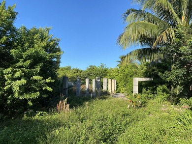 Canal front lot in beautiful Cutthroat Harbor Estates. Excellent - photo 6