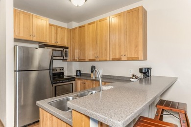 Kee-Mi-Con Lodge-Unit 203/213-now available! Enjoy the Eagle - photo 6