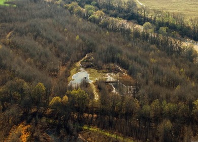 Parcels - 0001-02244-0000 - 0001-02241-0000 - 0001-02250-0000 - - photo 11