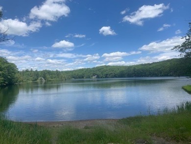 (private lake, pond, creek) Lot For Sale in Otis Massachusetts