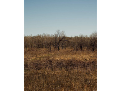 Parcels - 0001-02244-0000 - 0001-02241-0000 - 0001-02250-0000 - - photo 37