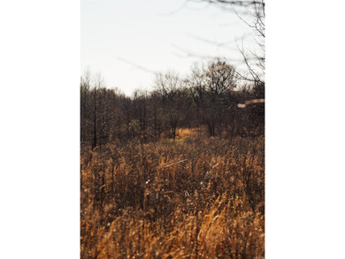 Parcels - 0001-02244-0000 - 0001-02241-0000 - 0001-02250-0000 - - photo 38