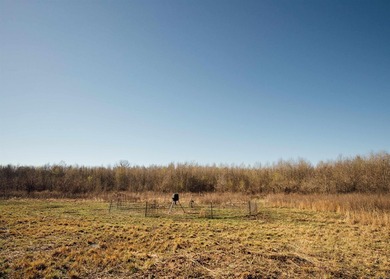 Parcels - 0001-02244-0000 - 0001-02241-0000 - 0001-02250-0000 - - photo 42