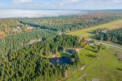 Propriete en pleine nature. Cette vaste demeure de quatre etages - photo 45