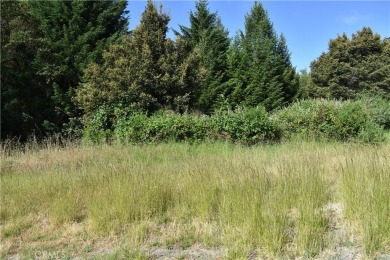 (private lake, pond, creek) Lot For Sale in  California