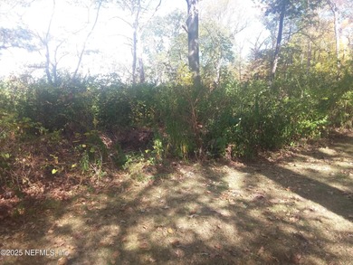 Lake Kathleen Lot For Sale in Satsuma Florida