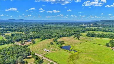 Lake Home For Sale in Dardanelle, Arkansas