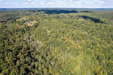 Discover the vision for your Dream Home or Investment Property! - photo 11