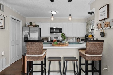 Welcome to this completely renovated townhome with views of Cane - photo 12