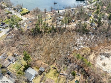 Lakeview Lot with Architectural Drawings, Survey and 3 Bedroom - photo 13