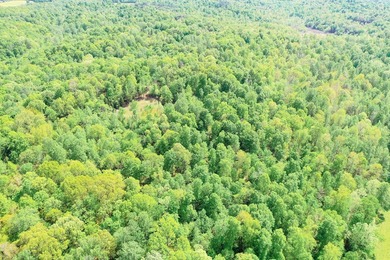 Great opportunity to own 14 acres of prime wooded hunting land - photo 1