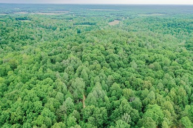 Great opportunity to own 14 acres of prime wooded hunting land - photo 2