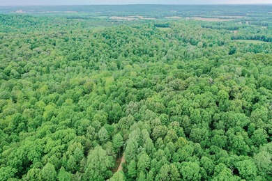 Great opportunity to own 14 acres of prime wooded hunting land - photo 4