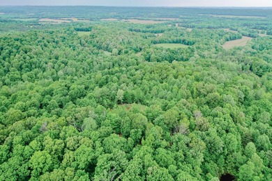 Great opportunity to own 14 acres of prime wooded hunting land - photo 5