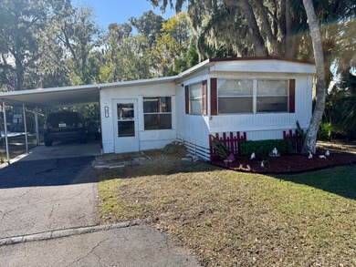 Lake Home For Sale in Leesburg, Florida