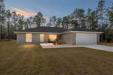 Bonable Lake Home Sale Pending in Dunnellon Florida