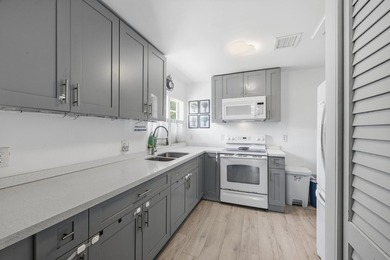 Turnkey furnished 6-bedroom income property in booming Little - photo 1