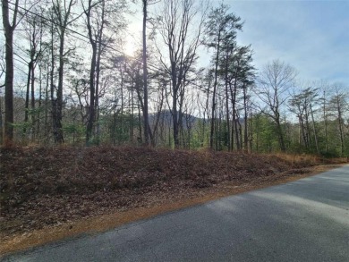 Lake Lot For Sale in Ellijay, Georgia