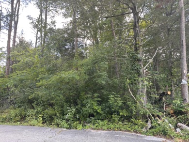 Lake Cumberland Lot Sale Pending in Bronston Kentucky