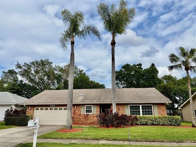 Lake Tarpon Home For Sale in Palm Harbor Florida