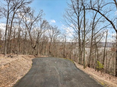 Cherokee Lake Main Channel Lot - photo 6