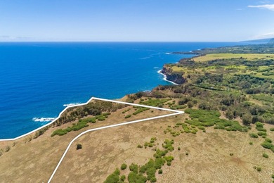 Searching for a legacy oceanfront ranch in North Kohala? This - photo 3