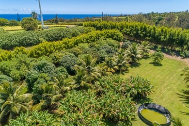 Searching for a legacy oceanfront ranch in North Kohala? This - photo 5