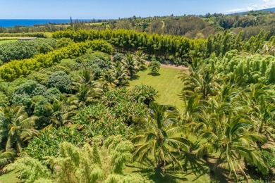 Searching for a legacy oceanfront ranch in North Kohala? This - photo 6