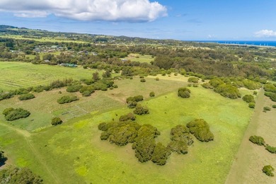 Searching for a legacy oceanfront ranch in North Kohala? This - photo 8