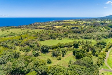 Searching for a legacy oceanfront ranch in North Kohala? This - photo 9