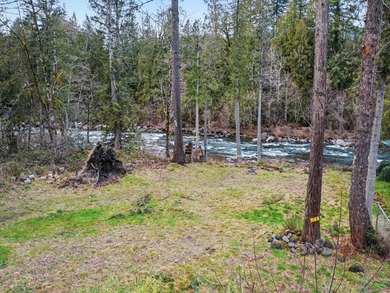 Experience true riverfront living with this rare, build-ready - photo 11