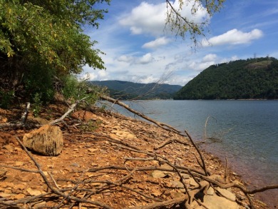 Cherokee Lake Main Channel Lot - photo 4