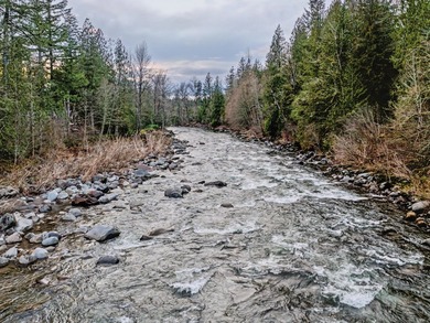 Experience true riverfront living with this rare, build-ready - photo 21