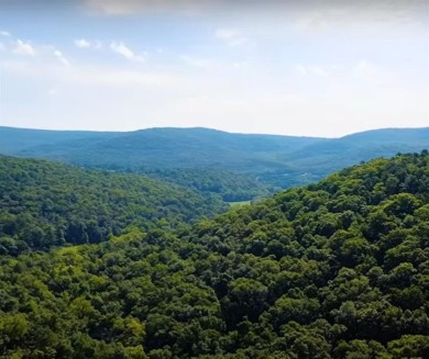 Lake Acreage For Sale in Kingston, Arkansas