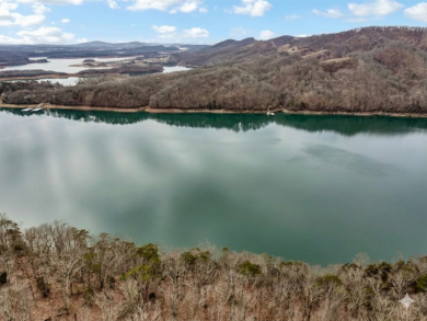 Cherokee Lake Main Channel Lot - photo 3