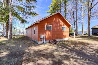 Enjoy lake life on the highly desirable Lake Nokomis chain with - photo 3
