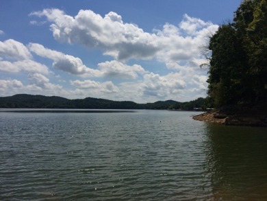 Cherokee Lake Main Channel Lot - photo 5