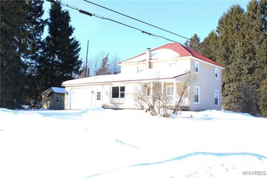 (private lake, pond, coastal) Home For Sale in Ellicottville New York