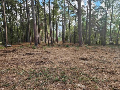 Lake Lot For Sale in Pittsburg, Texas