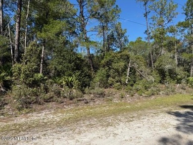 Lake George Lot For Sale in Georgetown Florida