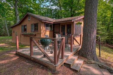 Imagine a cozy 4-bedroom, 2 bath main lodge, plus 2 charming - photo 5