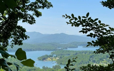 Lake Lot For Sale in Hayesville, North Carolina