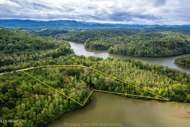 Lake Acreage For Sale in Vonore, Tennessee
